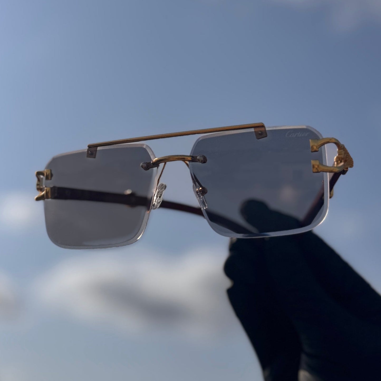 Solar Cheetah Glasses